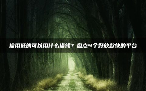 信用低的可以用什么借钱？盘点9个好放款快的平台