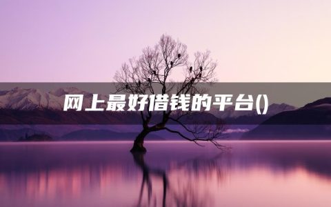 网上最好借钱的平台(信誉比较好的贷款平台)