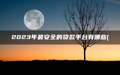 2023年最安全的贷款平台有哪些(借款无视黑白的app有哪些)