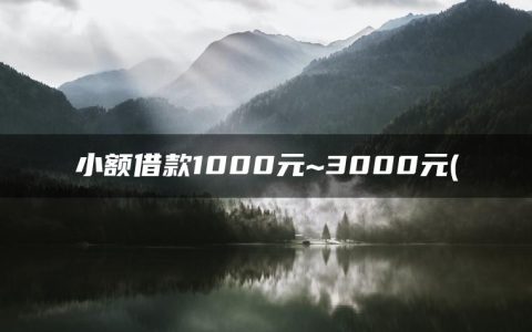 小额借款1000元~3000元(借钱秒到账app不需要审核)