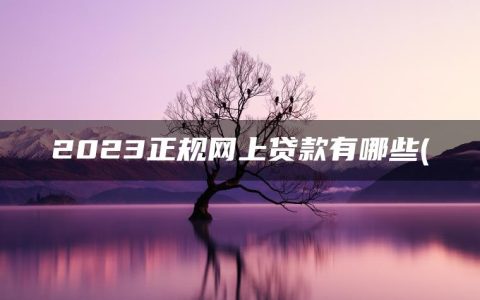 2023正规网上贷款有哪些(不看征信借款5000马上到账的)