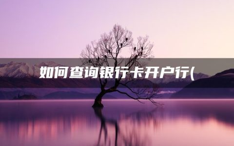 如何查询银行卡开户行(什么是开户网点)