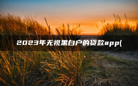 2023年无视黑白户的贷款app(盘点网黑全拒能下款的口子)