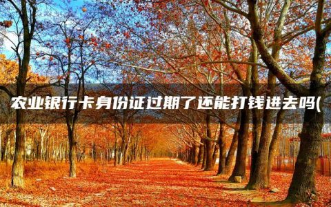 农业银行卡身份证过期了还能打钱进去吗(盘点不去银行怎么更新身份证信息)