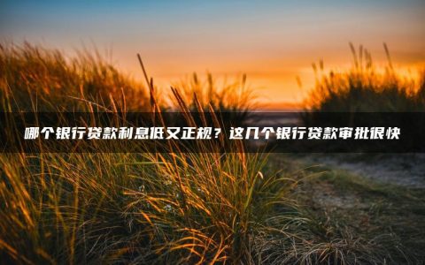 哪个银行贷款利息低又正规？这几个银行贷款审批很快