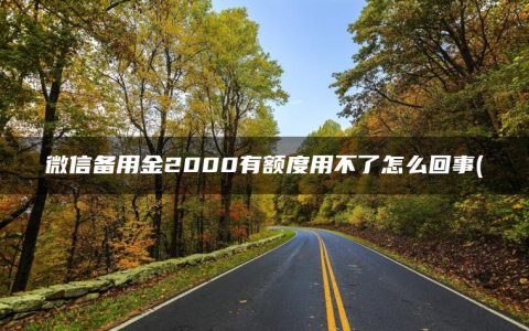 微信备用金2000有额度用不了怎么回事(微信还有什么可以借钱)