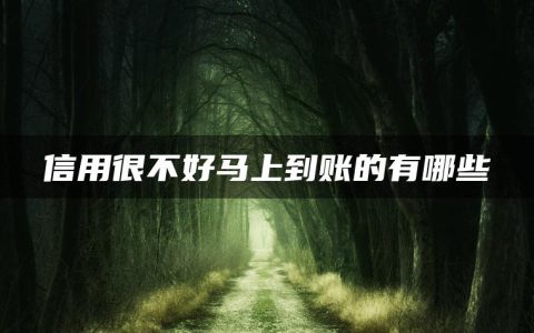 信用很不好马上到账的有哪些(盘点信用不足怎么能借到钱)