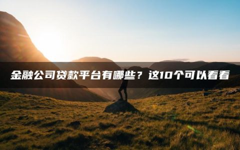 金融公司贷款平台有哪些？这10个可以看看