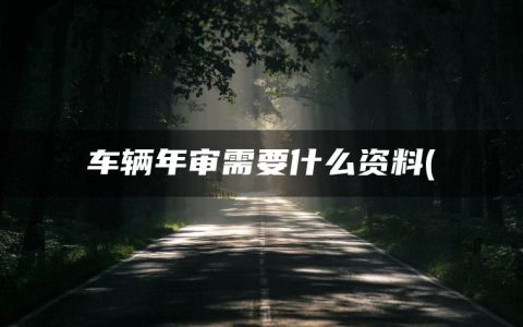 车辆年审需要什么资料(车损险是什么意思)