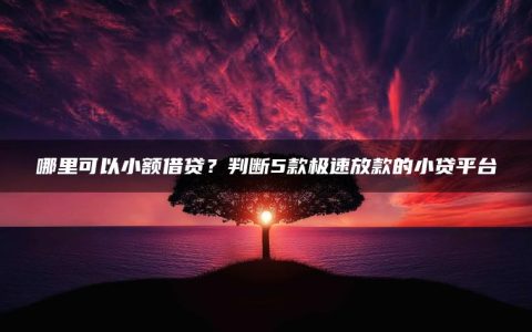 哪里可以小额借贷？判断5款极速放款的小贷平台