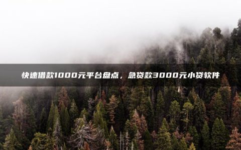 快速借款1000元平台盘点，急贷款3000元小贷软件