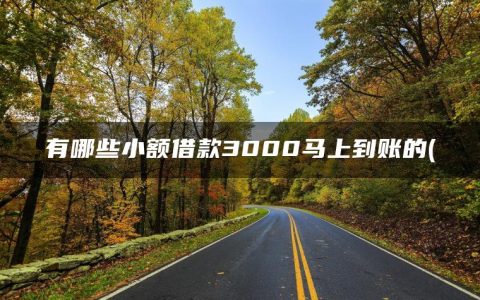 有哪些小额借款3000马上到账的app(盘点借钱应急3000微信转账app)