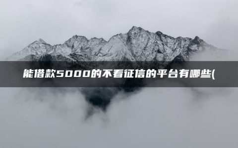 能借款5000的不看征信的平台有哪些(精选1000网贷口子包下的有哪些)