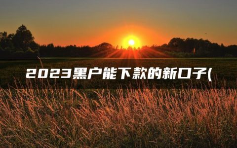 2023黑户能下款的新口子(精选黑口子必下款app2023)