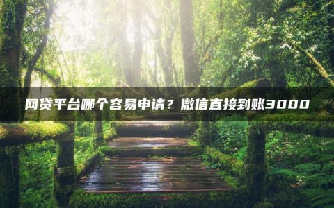 网贷平台哪个容易申请？微信直接到账3000