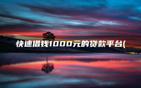 快速借钱1000元的贷款平台(盘点不看征信借款5000马上到账的app)