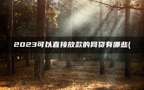 2023可以直接放款的网贷有哪些(盘点借钱不用审核秒到账的口子有哪些)