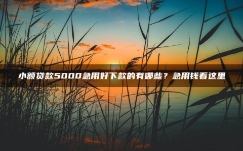 小额贷款5000急用好下款的有哪些？急用钱看这里