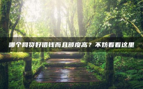 哪个网贷好借钱而且额度高？不妨看看这里