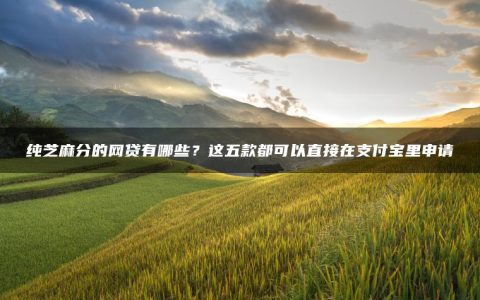 纯芝麻分的网贷有哪些？这五款都可以直接在支付宝里申请