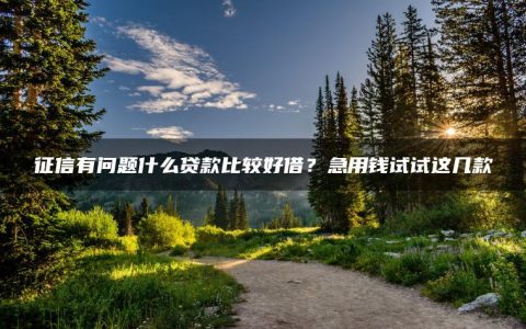 征信有问题什么贷款比较好借？急用钱试试这几款