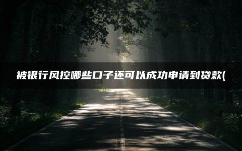 被银行风控哪些口子还可以成功申请到贷款(盘点被风控了也能通过审核的网贷)