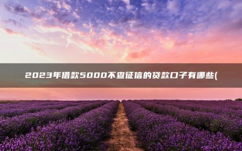 2023年借款5000不查征信的贷款口子有哪些(盘点征信花了能下的贷款口子)