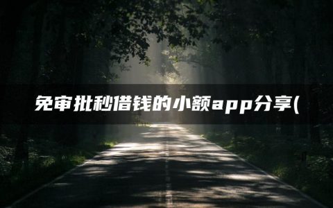 免审批秒借钱的小额app分享(盘点好下的小额贷款口子)