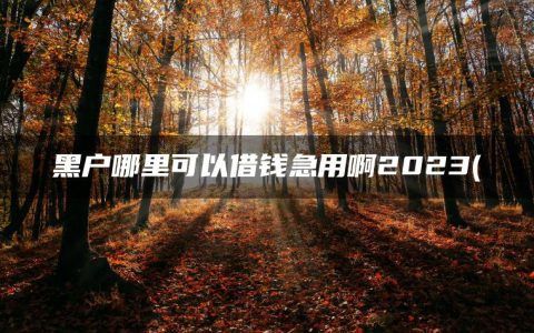 黑户哪里可以借钱急用啊2023(精选借钱应急3000微信转账)