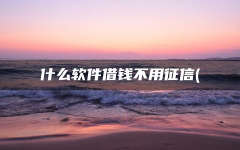 什么软件借钱不用征信(精选什么软件可以不看征信借钱)