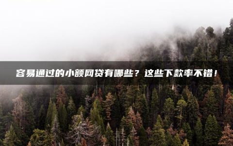 容易通过的小额网贷有哪些？这些下款率不错！