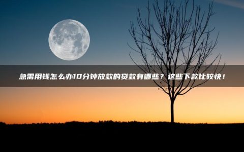 急需用钱怎么办10分钟放款的贷款有哪些？这些下款比较快！