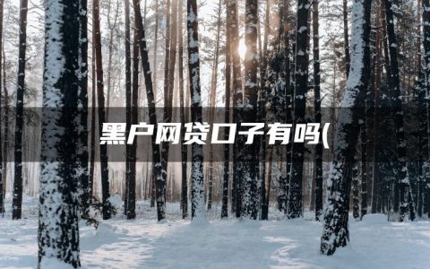 黑户网贷口子有吗(盘点2023稳定下款的网贷口子有哪些)