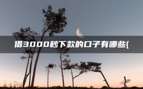 借3000秒下款的口子有哪些(精选3000左右贷款必下的口子)