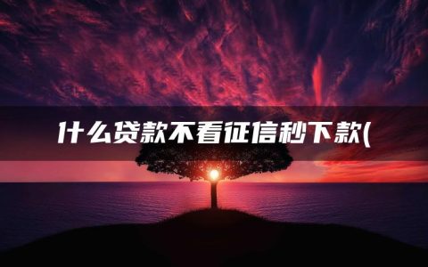 什么贷款不看征信秒下款(精选放款快的不看征信的贷款有哪些)