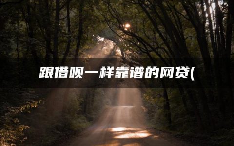 跟借呗一样靠谱的网贷(精选哪家借钱平台好借又正规)