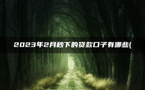 2023年2月秒下的贷款口子有哪些(精选无视征信秒下款的口子)