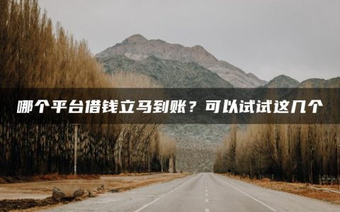 哪个平台借钱立马到账？可以试试这几个