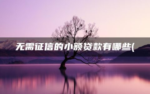 无需征信的小额贷款有哪些(盘点无须审核500元秒贷)