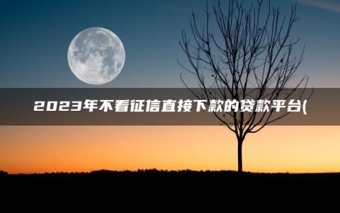 2023年不看征信直接下款的贷款平台(精选征信烂了审核必过的贷款app2023)