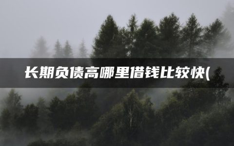 长期负债高哪里借钱比较快(盘点负债高了还能在哪里贷款)