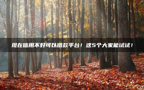 现在信用不好可以借款平台！这5个大家能试试！