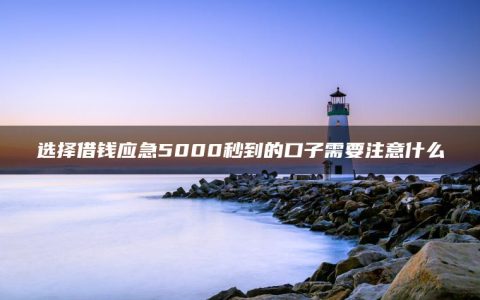 选择借钱应急5000秒到的口子需要注意什么(盘点逾期借钱平台什么最好下款)