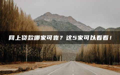 网上贷款哪家可靠？这5家可以看看！