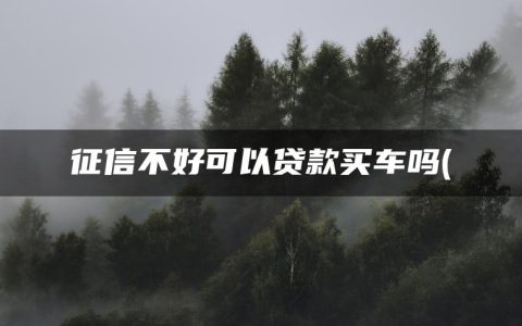 征信不好可以贷款买车吗(征信有问题可以贷款买车么)