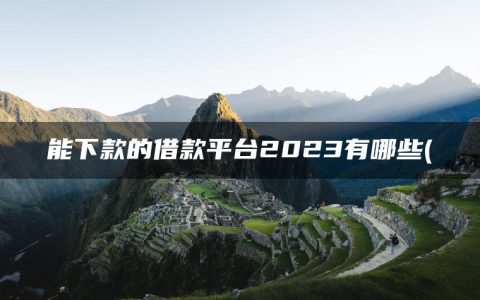 能下款的借款平台2023有哪些(盘点急用钱哪个平台好借一点)