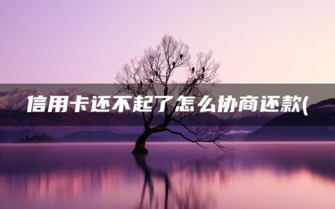 信用卡还不起了怎么协商还款(停息挂账自己怎么去申请)