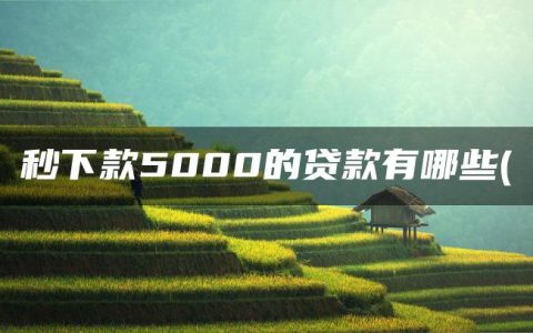 秒下款5000的贷款有哪些(盘点借款3000马上到账的口子)