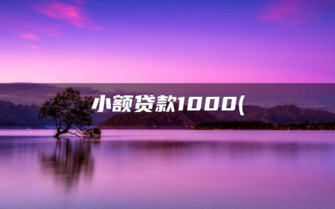 小额贷款1000(现在银行贷款利率是多少最新消息)