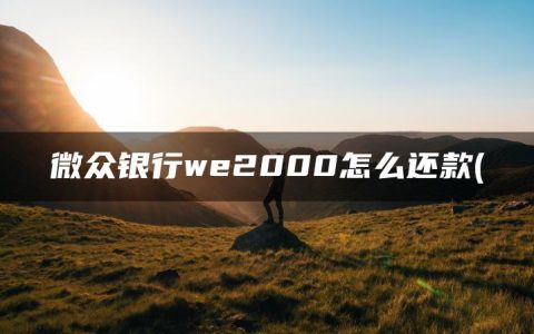 微众银行we2000怎么还款(盘点借呗和微粒贷哪个利息低)